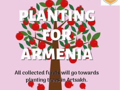 ԱՐՑԱԽԻ ՄԷՋ 50 ՀԱԶԱՐ  ԾԱՌ ՏՆԿԵԼՈՒ ԱՐՇԱՒ